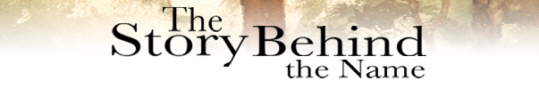 Bannister: The Story Behind the Name